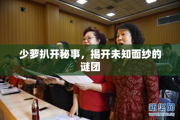 少萝扒开秘事，揭开未知面纱的谜团