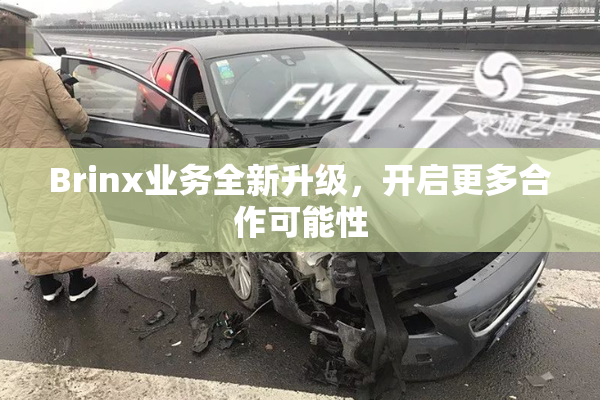 Brinx业务全新升级，开启更多合作可能性
