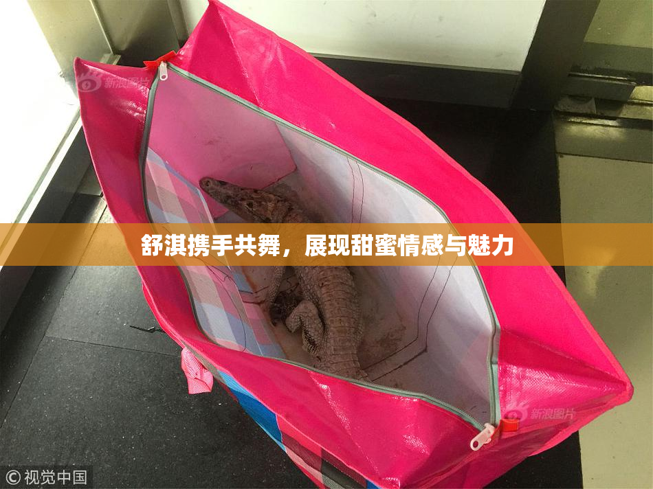 舒淇携手共舞，展现甜蜜情感与魅力