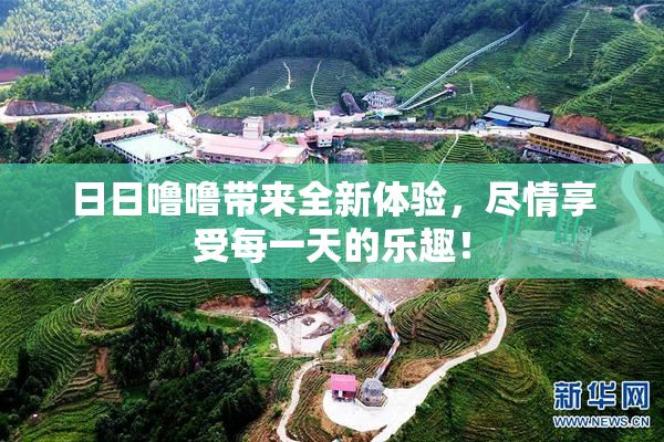 日日噜噜带来全新体验，尽情享受每一天的乐趣！