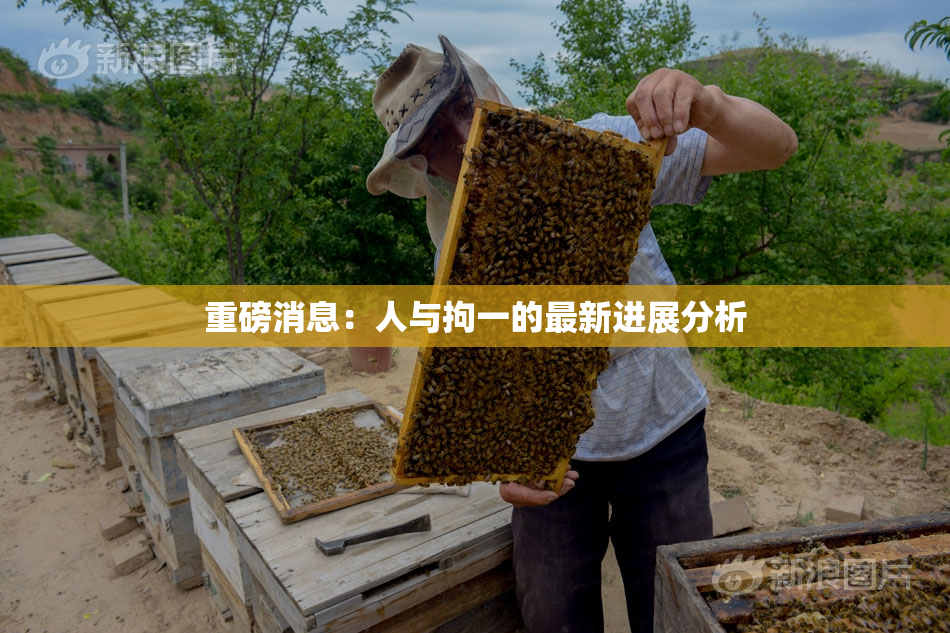 重磅消息：人与拘一的最新进展分析