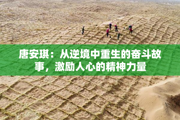 唐安琪：从逆境中重生的奋斗故事，激励人心的精神力量