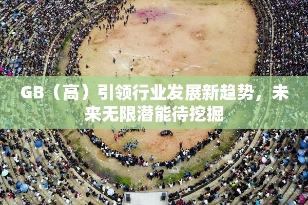 GB（高）引领行业发展新趋势，未来无限潜能待挖掘