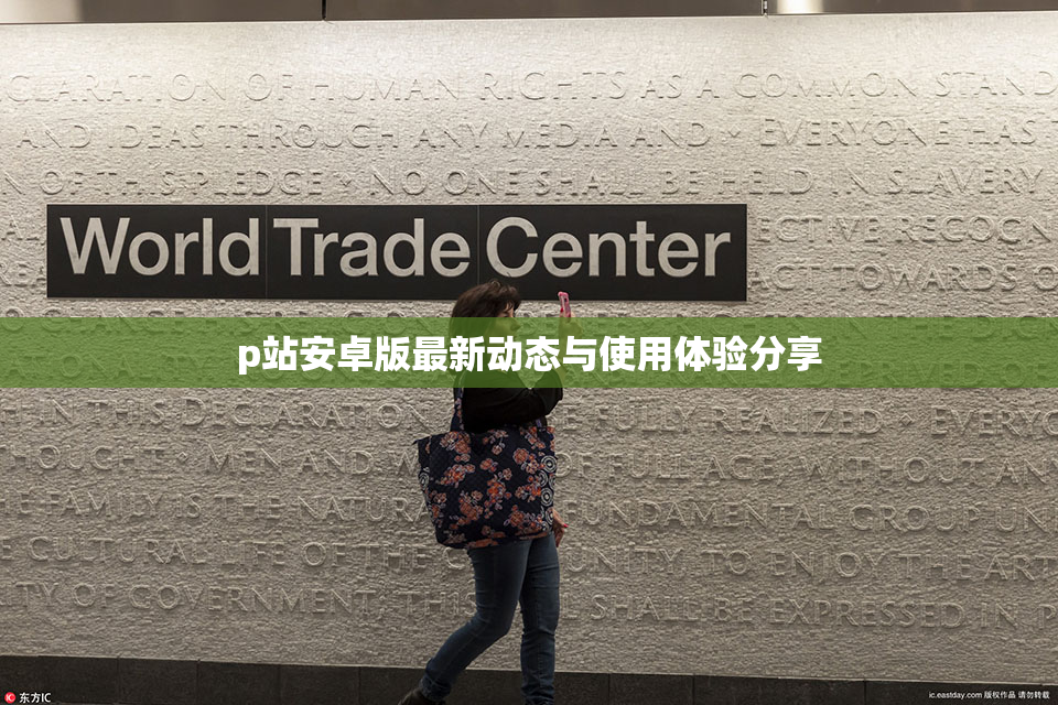 p站安卓版最新动态与使用体验分享