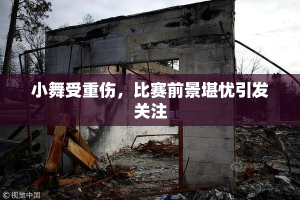小舞受重伤，比赛前景堪忧引发关注