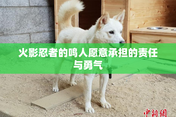 火影忍者的鸣人愿意承担的责任与勇气