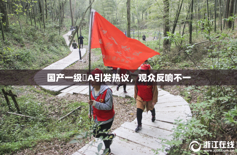 国产一级婬A引发热议，观众反响不一
