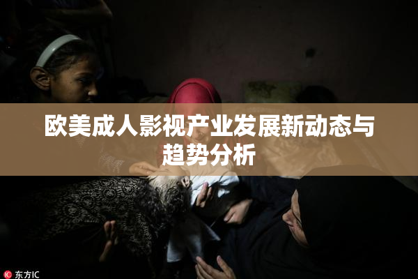 欧美成人影视产业发展新动态与趋势分析