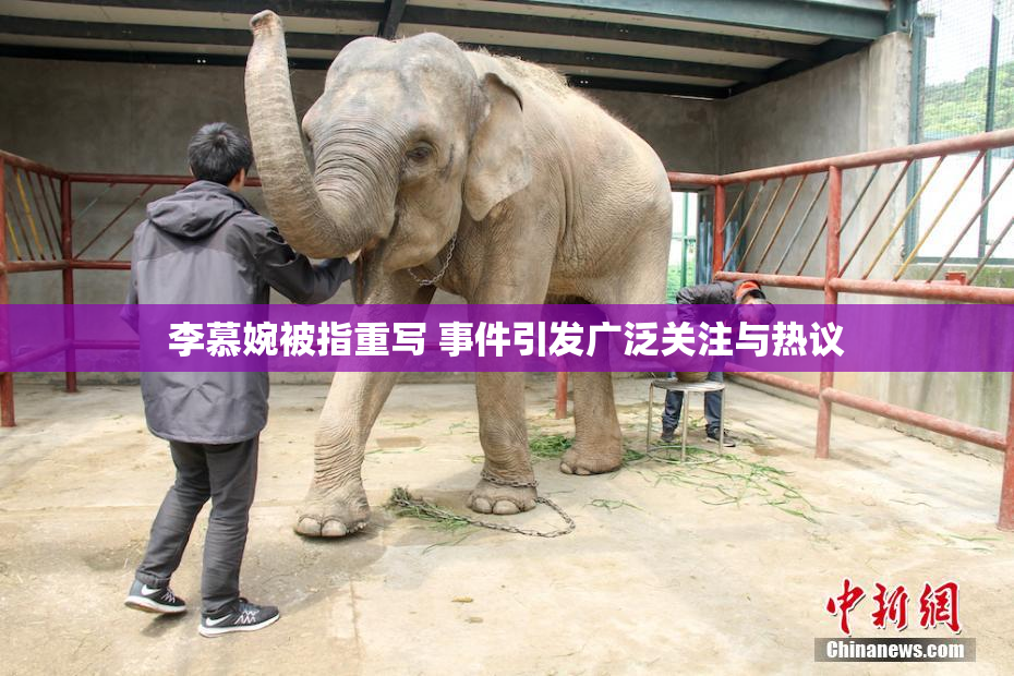 李慕婉被指重写 事件引发广泛关注与热议
