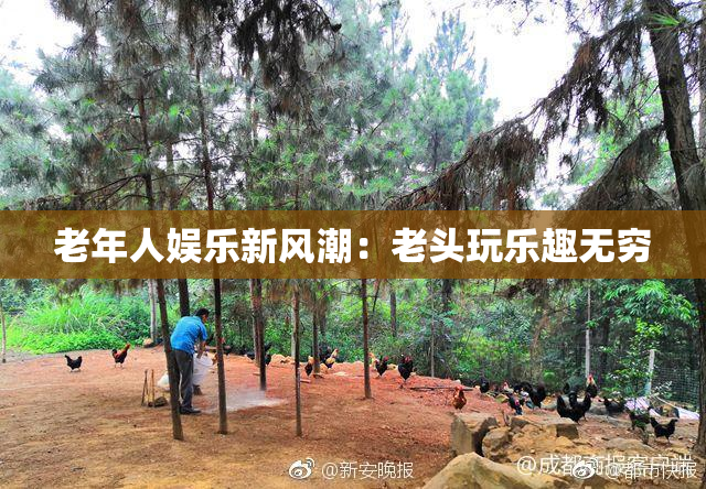 老年人娱乐新风潮：老头玩乐趣无穷