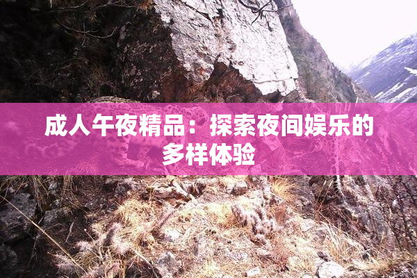 成人午夜精品：探索夜间娱乐的多样体验