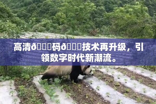 高清🈚码🔞技术再升级，引领数字时代新潮流。