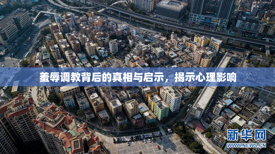 羞辱调教背后的真相与启示，揭示心理影响