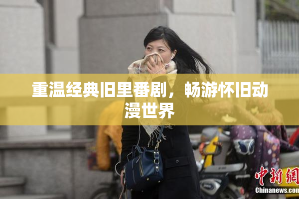 重温经典旧里番剧，畅游怀旧动漫世界