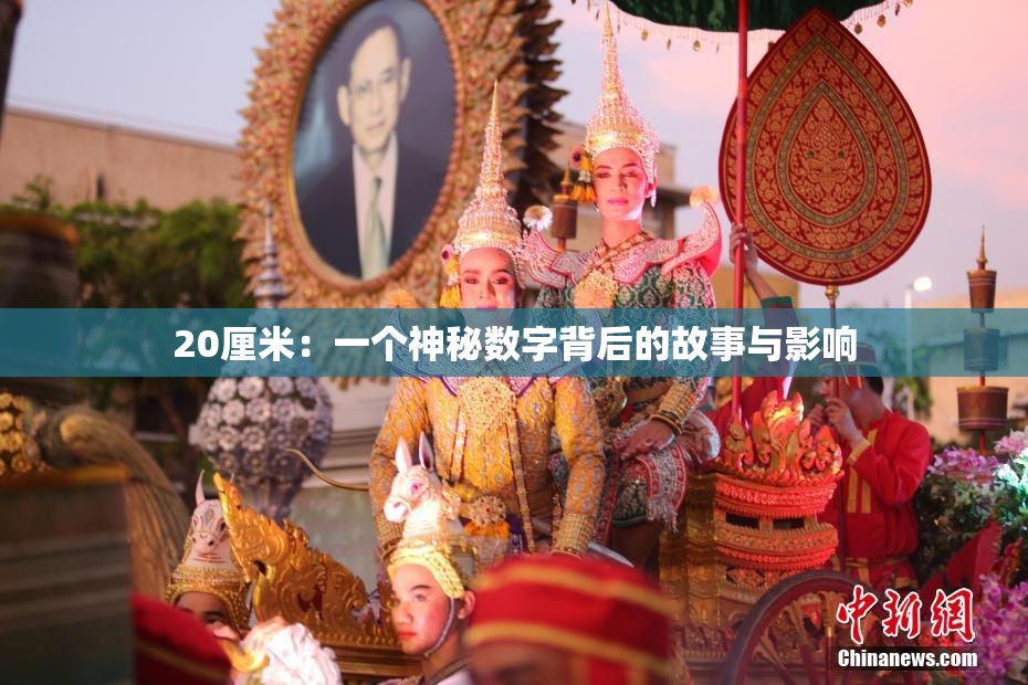 20厘米：一个神秘数字背后的故事与影响