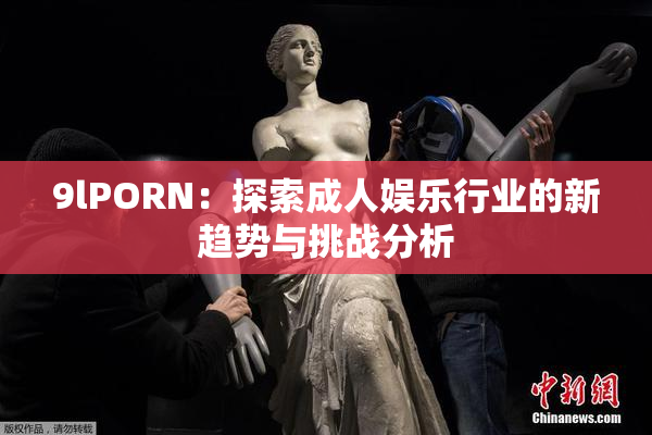 9lPORN：探索成人娱乐行业的新趋势与挑战分析