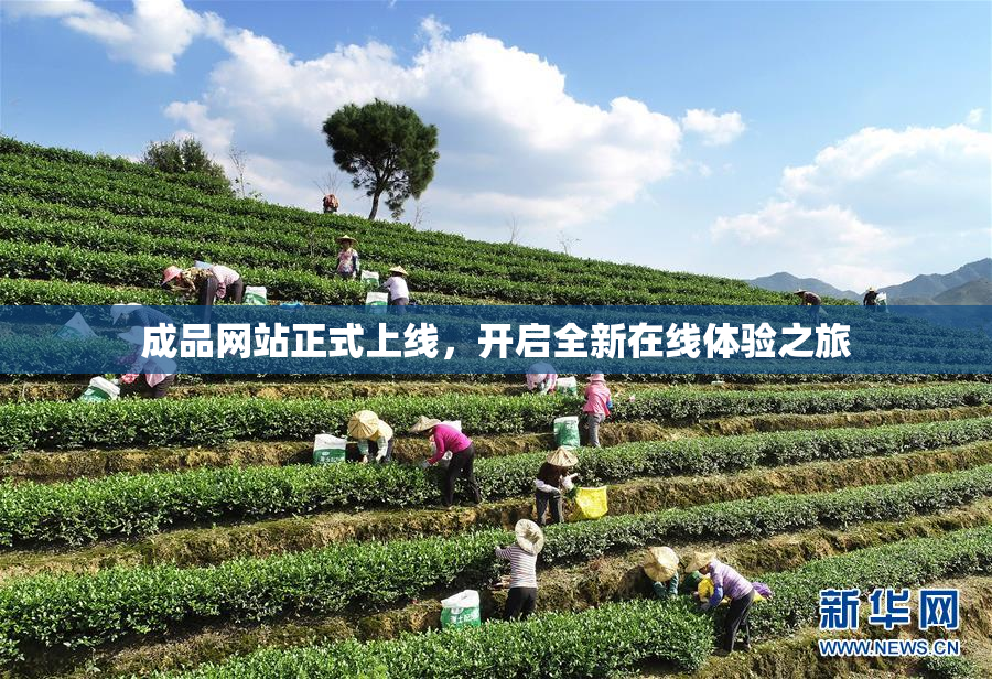 成品网站正式上线，开启全新在线体验之旅