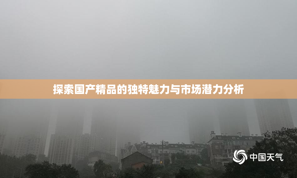 探索国产精品的独特魅力与市场潜力分析