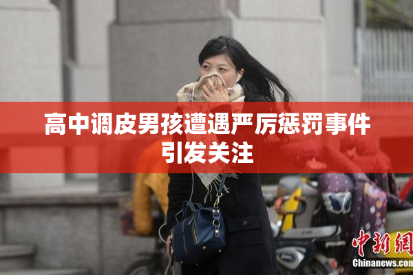 高中调皮男孩遭遇严厉惩罚事件引发关注