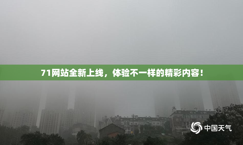 71网站全新上线，体验不一样的精彩内容！
