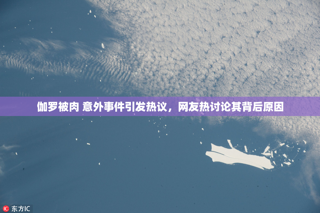 伽罗被肉 意外事件引发热议，网友热讨论其背后原因