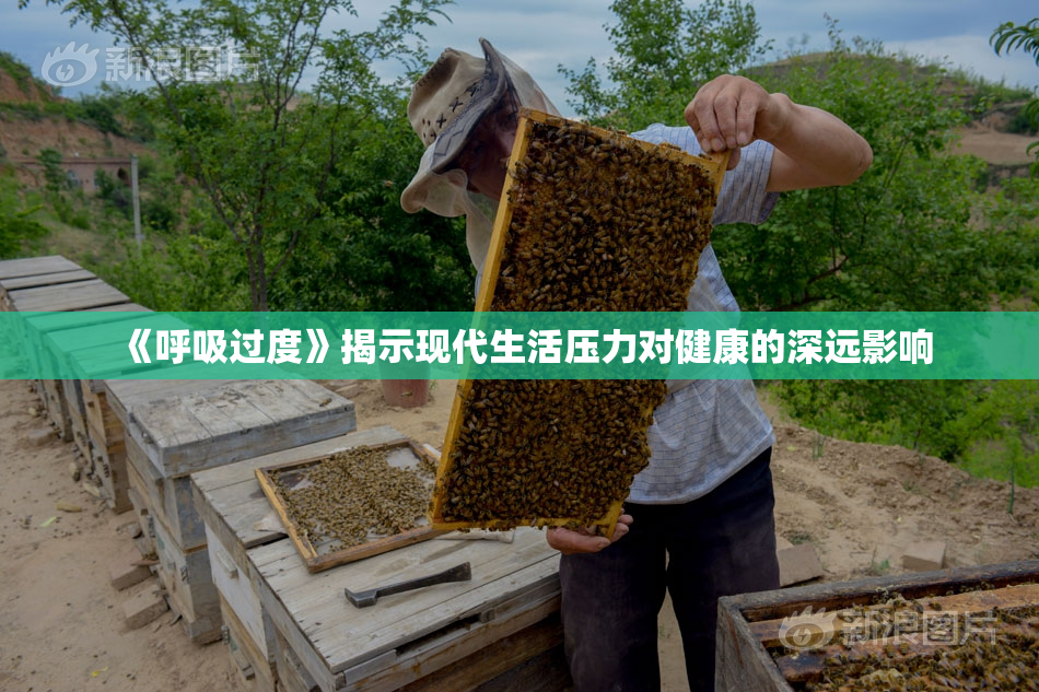 《呼吸过度》揭示现代生活压力对健康的深远影响