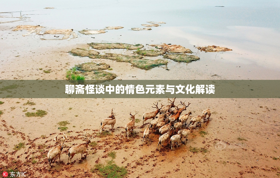 聊斋怪谈中的情色元素与文化解读