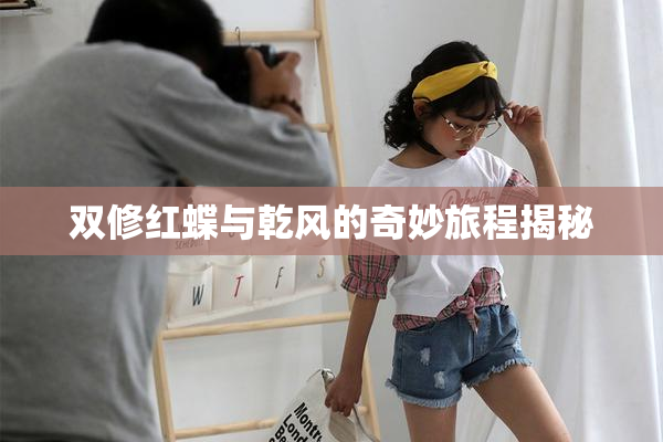 双修红蝶与乾风的奇妙旅程揭秘