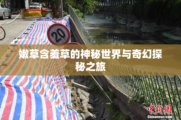 嫩草含羞草的神秘世界与奇幻探秘之旅