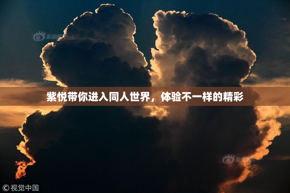 紫悦带你进入同人世界，体验不一样的精彩