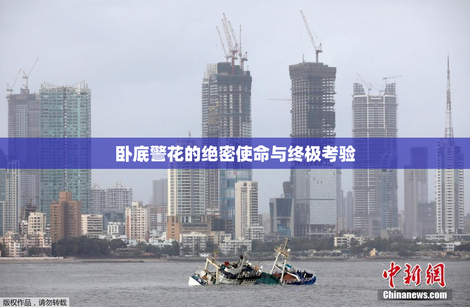 卧底警花的绝密使命与终极考验