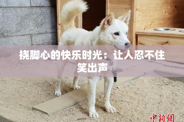 挠脚心的快乐时光：让人忍不住笑出声