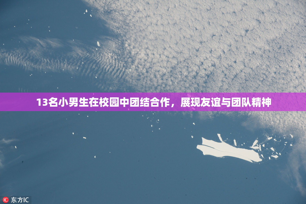13名小男生在校园中团结合作，展现友谊与团队精神