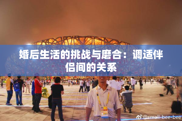 婚后生活的挑战与磨合：调适伴侣间的关系