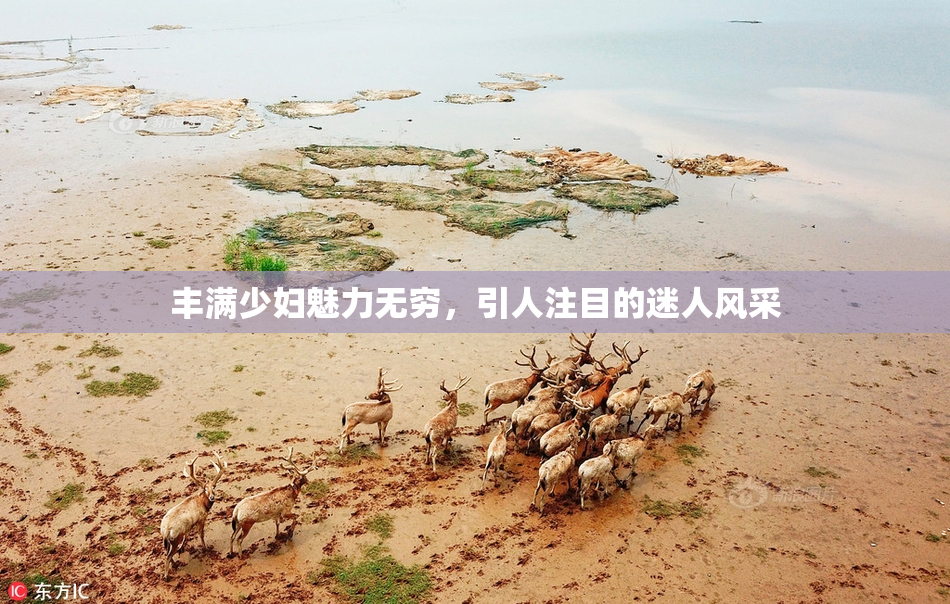 丰满少妇魅力无穷，引人注目的迷人风采