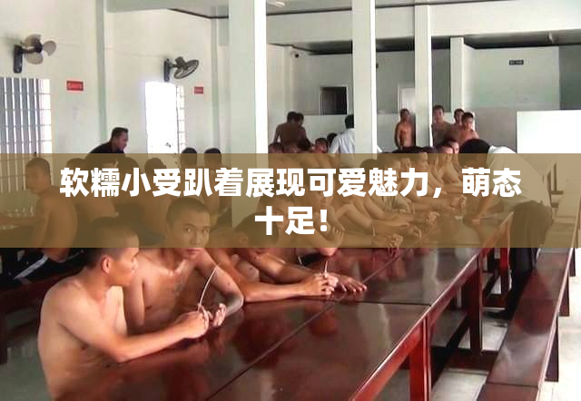 软糯小受趴着展现可爱魅力，萌态十足！
