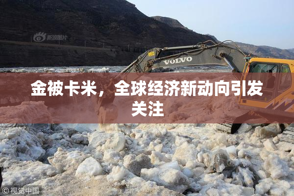金被卡米，全球经济新动向引发关注