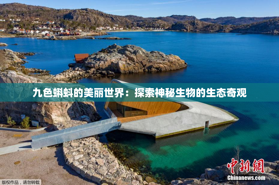 九色蝌蚪的美丽世界：探索神秘生物的生态奇观