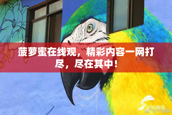 菠萝蜜在线观，精彩内容一网打尽，尽在其中！
