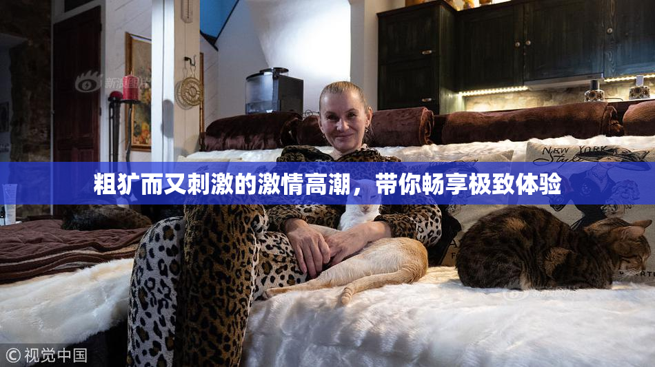 粗犷而又刺激的激情高潮，带你畅享极致体验