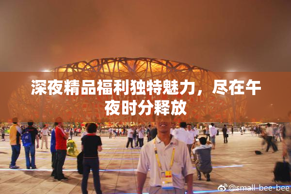 深夜精品福利独特魅力，尽在午夜时分释放