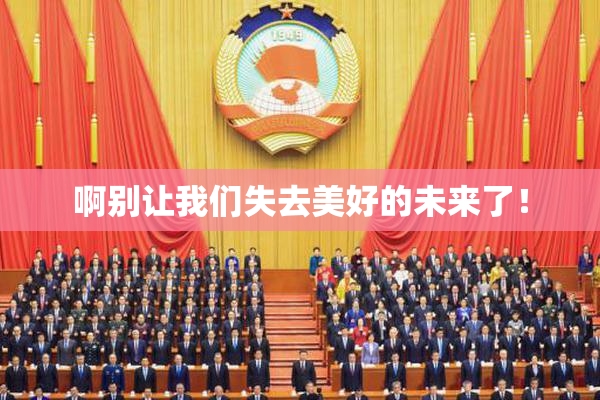 啊别让我们失去美好的未来了！