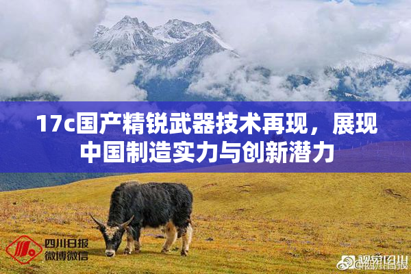 17c国产精锐武器技术再现，展现中国制造实力与创新潜力
