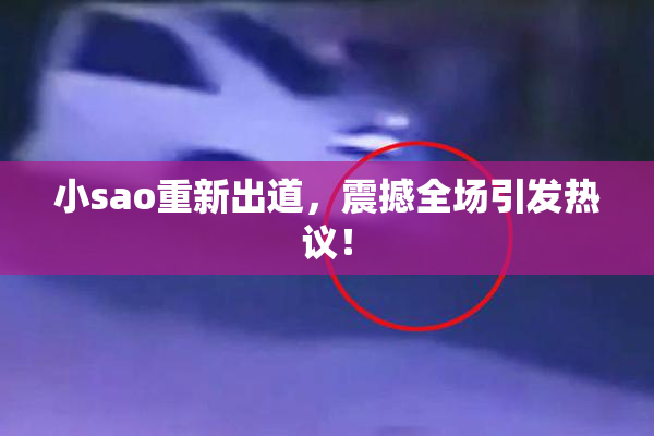 小sao重新出道，震撼全场引发热议！