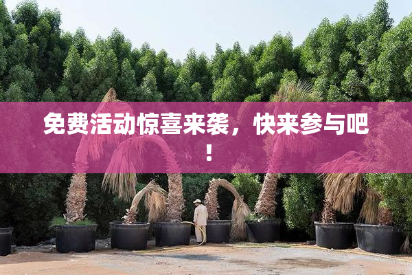 免费活动惊喜来袭，快来参与吧！
