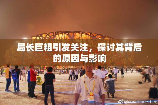 局长巨粗引发关注，探讨其背后的原因与影响