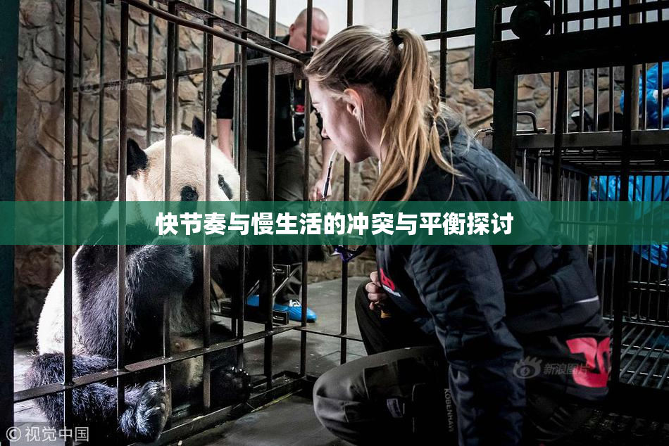 快节奏与慢生活的冲突与平衡探讨