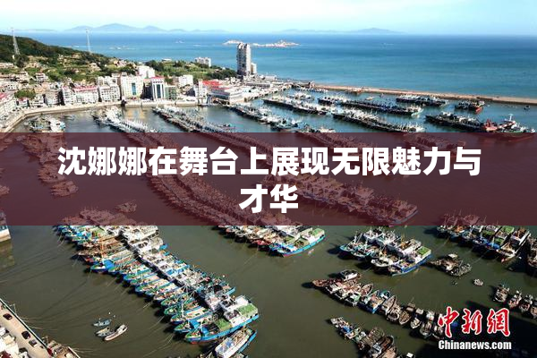 沈娜娜在舞台上展现无限魅力与才华
