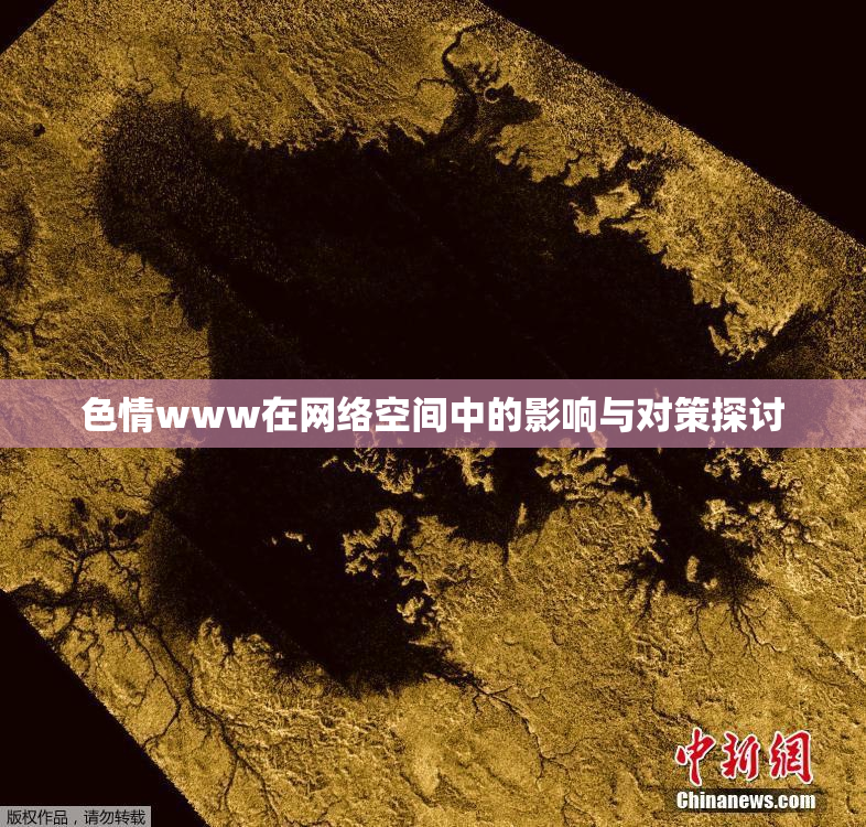 色情www在网络空间中的影响与对策探讨