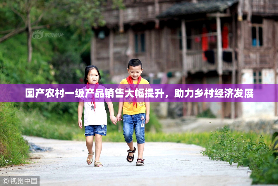 国产农村一级产品销售大幅提升，助力乡村经济发展